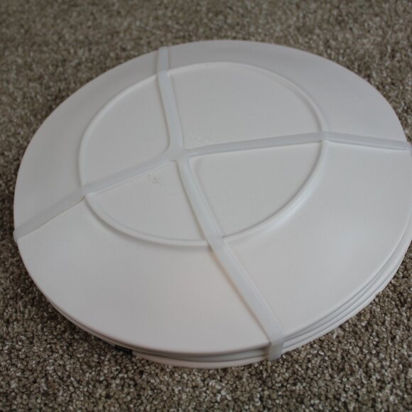 Rae Dunn BBQ Wood Grain Look Set of 4 10.5" Melamine Dinner Plates Barbecue NWT - Picture 6 of 7